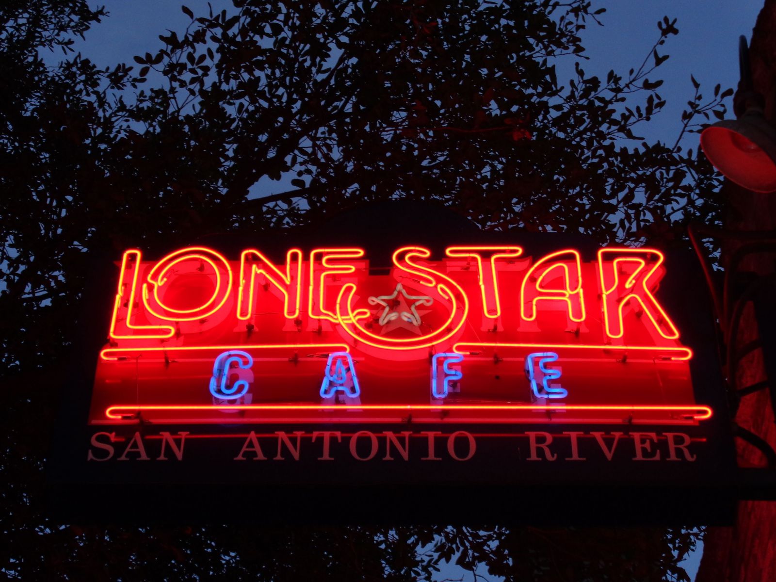 The neon sign for The Lone Star shines brightly against a back-drop of dark, and poorly illuminated foliage